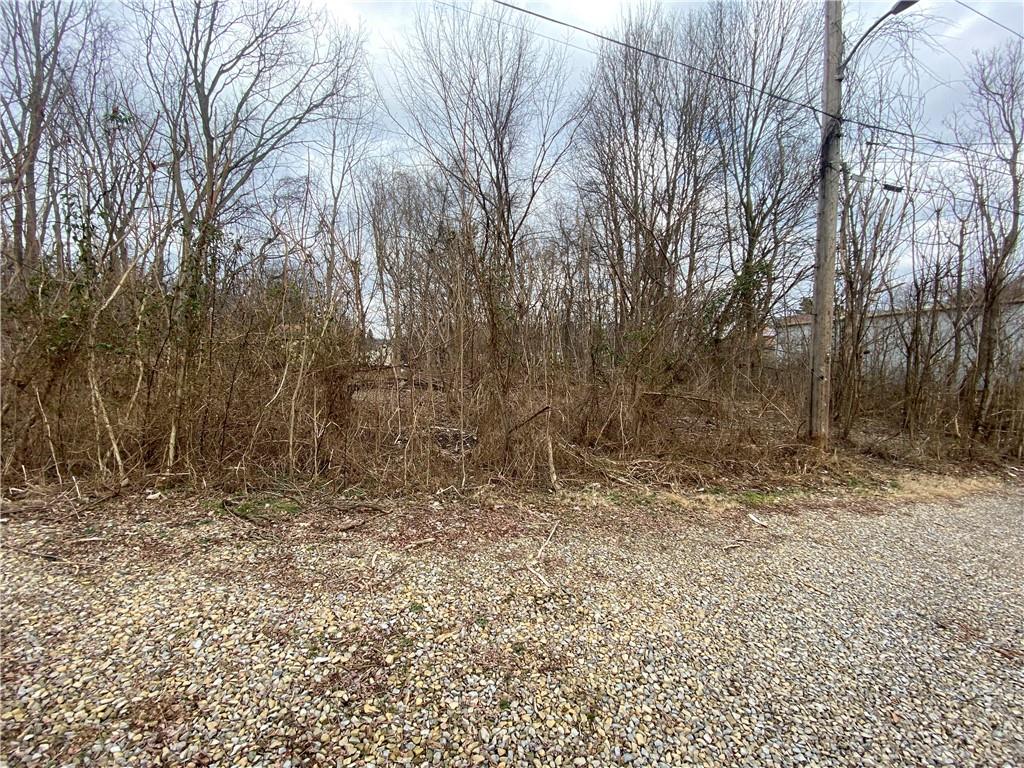 a view of a yard with trees