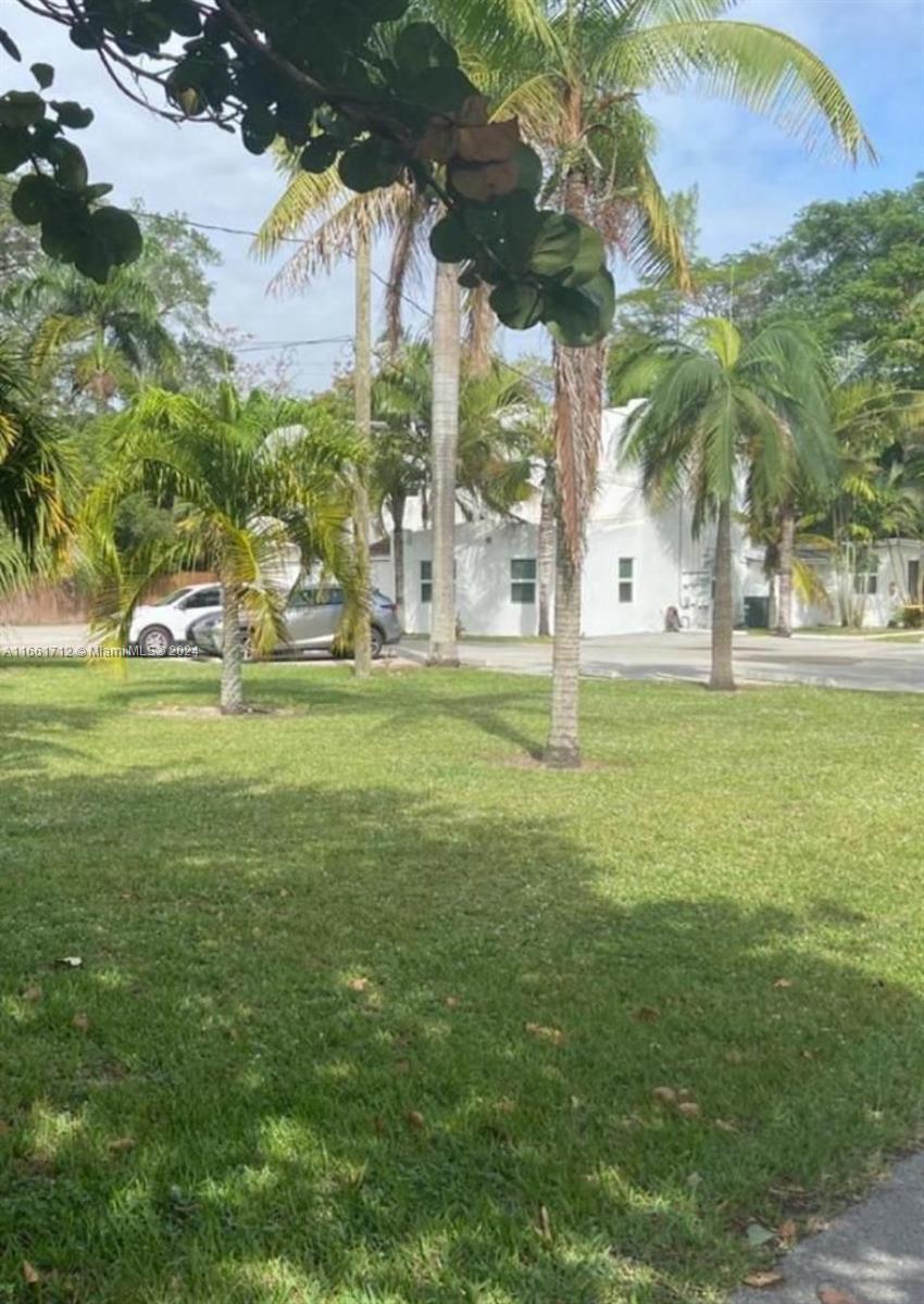 a view of a park with large trees