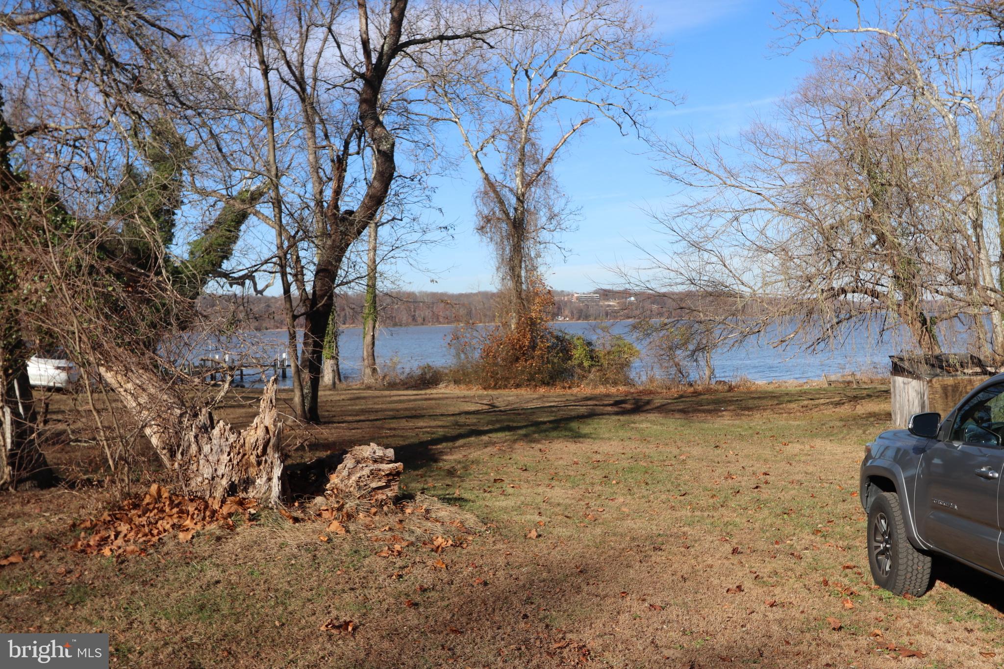 a view of a yard with an trees