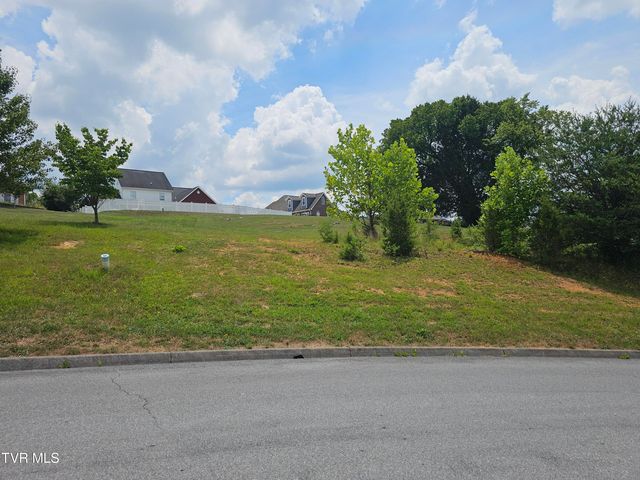 $32,500 | Lot 8 Warrior Falls Drive, Unit 8 | Kingsport