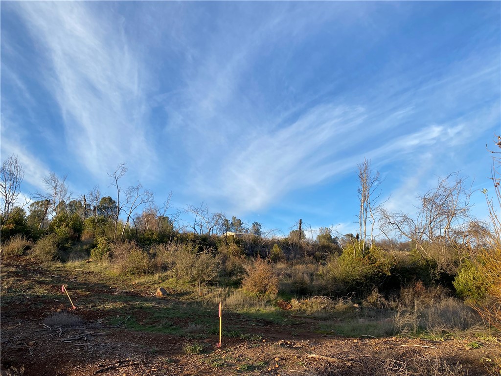 a view of a town with trees around