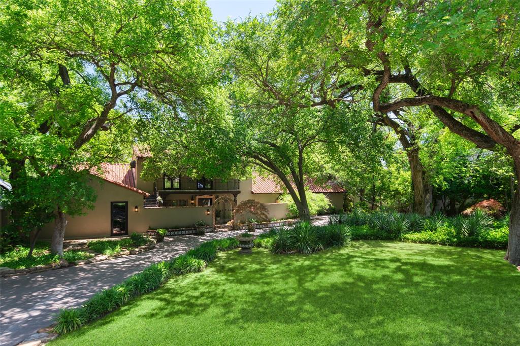 a backyard of a house with plants and large tree