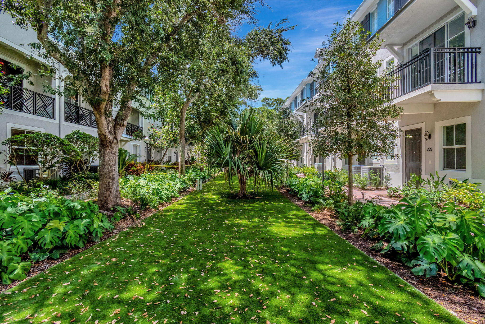 a view of a yard in front of house