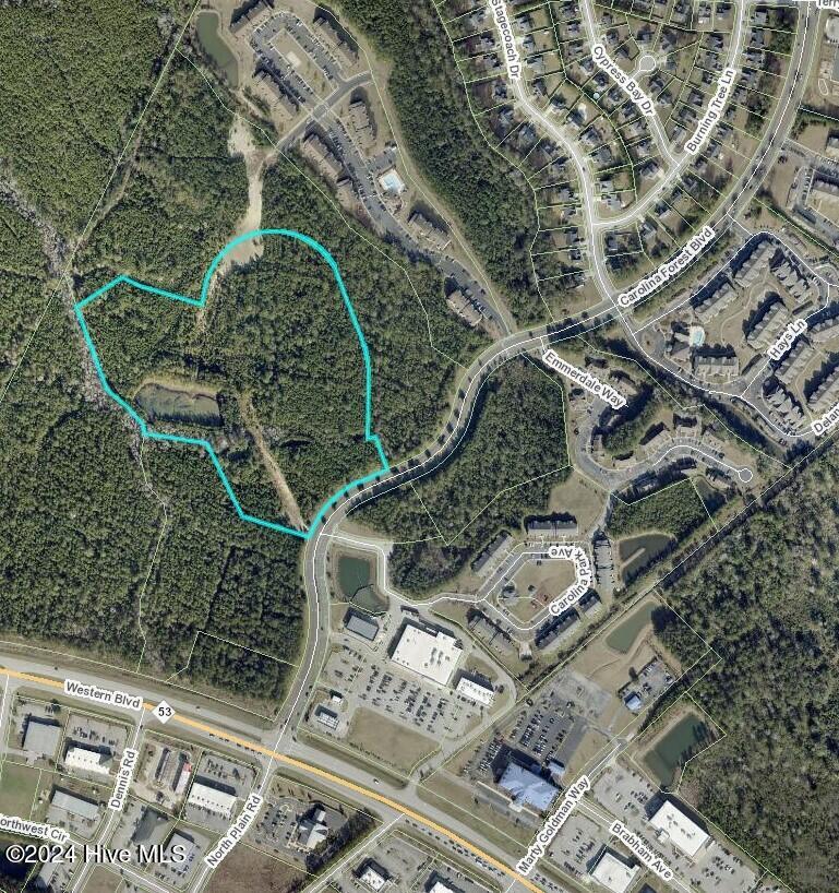 Carolina Forest Blvd- BRC- Aerial