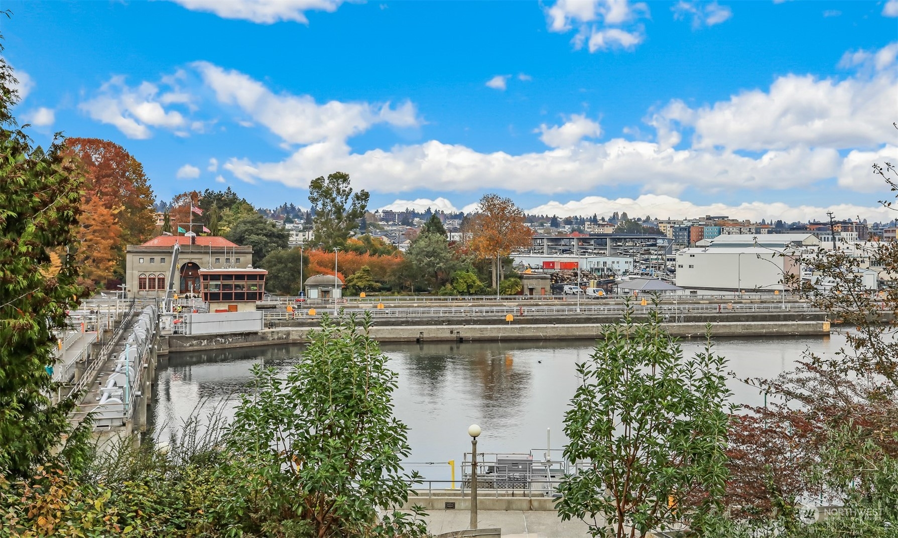 a view of a lake with a city