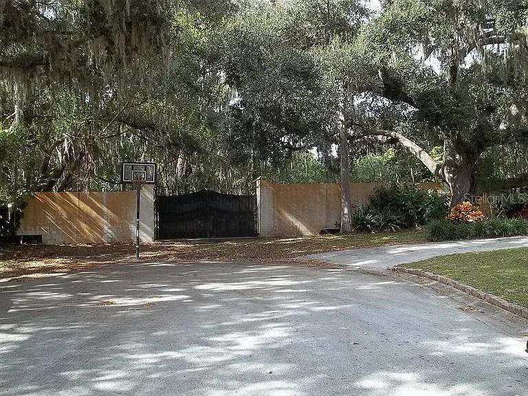 a view of a backyard with large trees