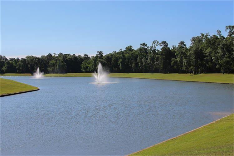 a view of a swimming pool and an outdoor space