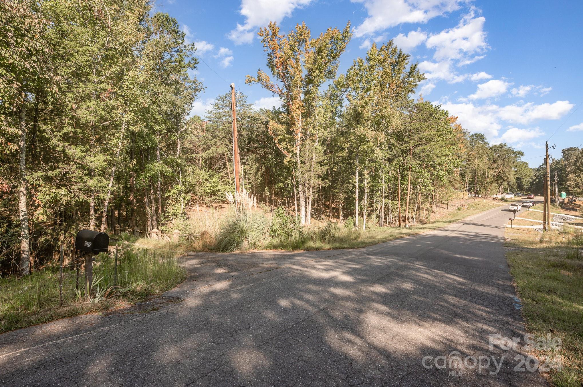 a view of road with trees