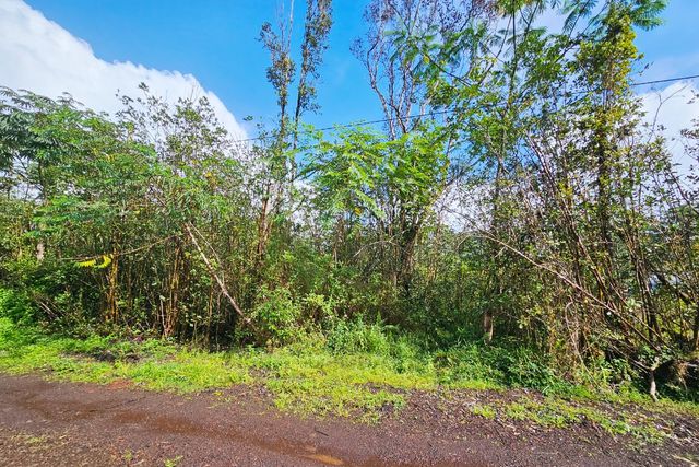 $28,000 | 16-2023 Lot 41 Sandalwood Court | Tiki Gardens