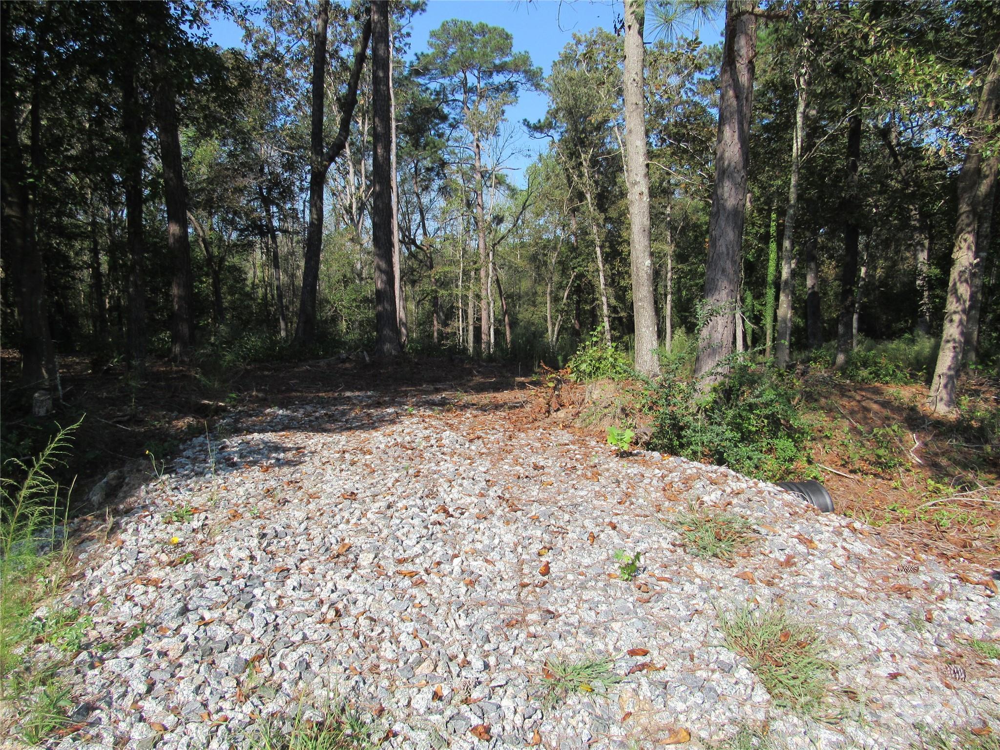 a view of outdoor space with trees