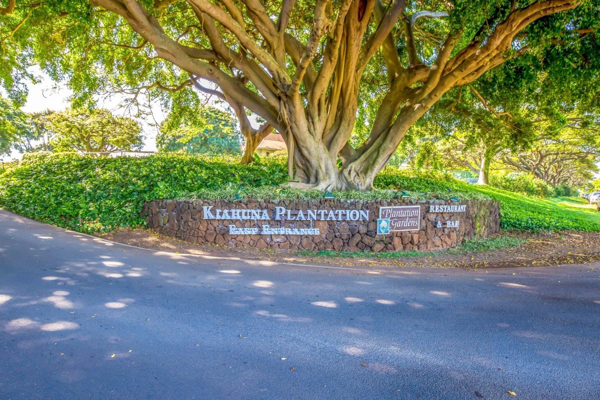 a view of a street with a trees