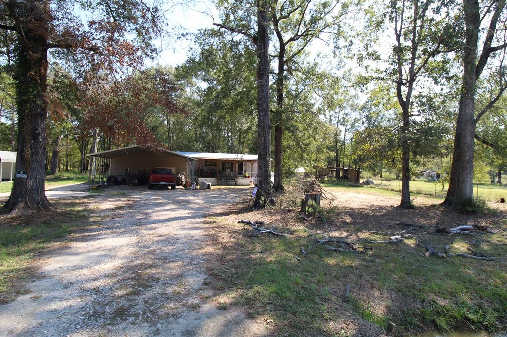 a view of a yard with tree s