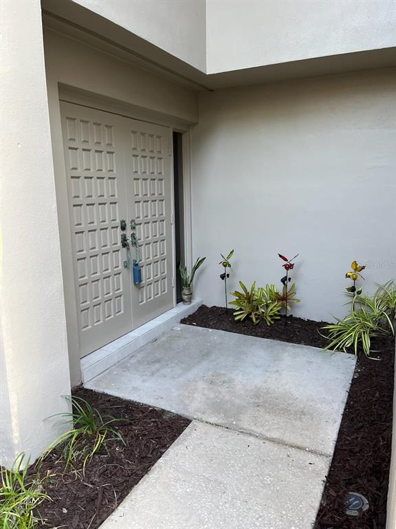 a view of a potted plant in front of a door