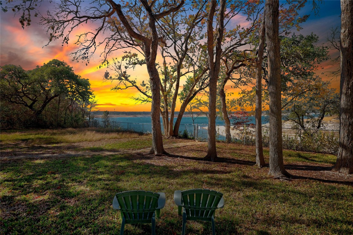 a view of a yard with an tree