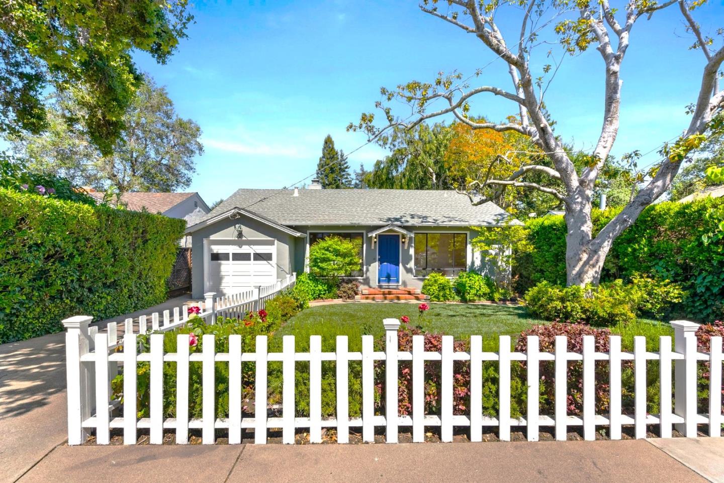 a front view of a house having yard