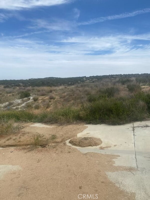 a view of yard with ocean view