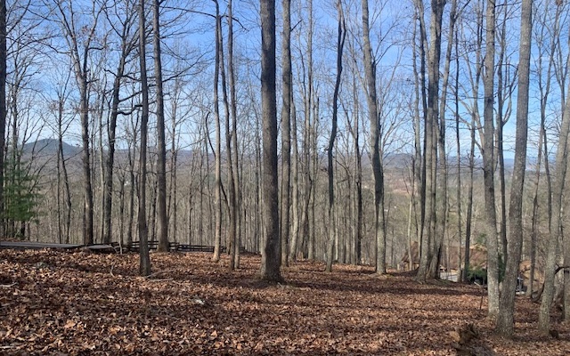 a view of a backyard with large trees and wooden fence