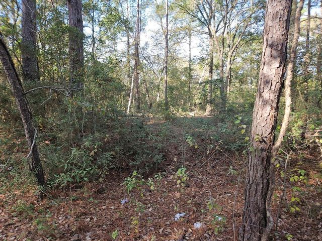 $35,000 | 0 Pinecone Lane | Pinebrook