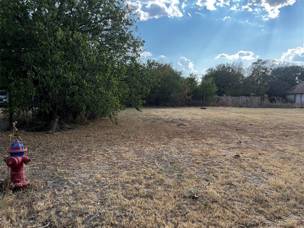 a view of backyard with green space