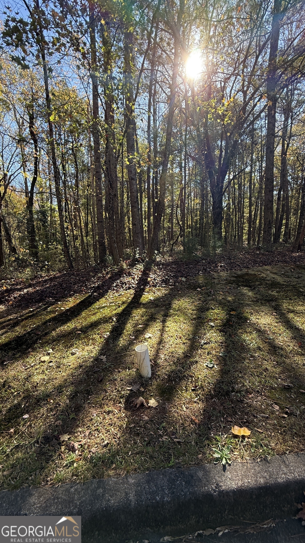 a view of a backyard of a house