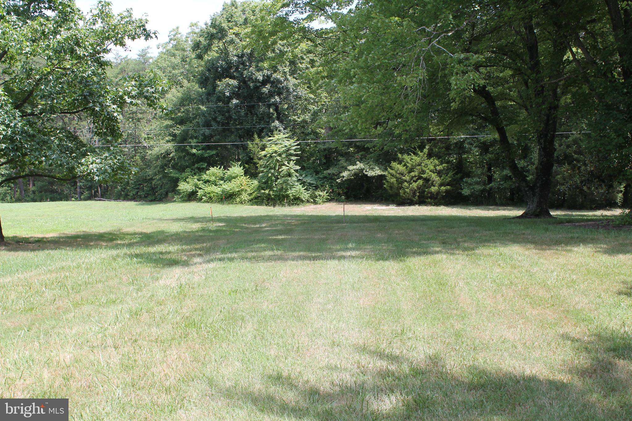 a view of a field with a trees in the background