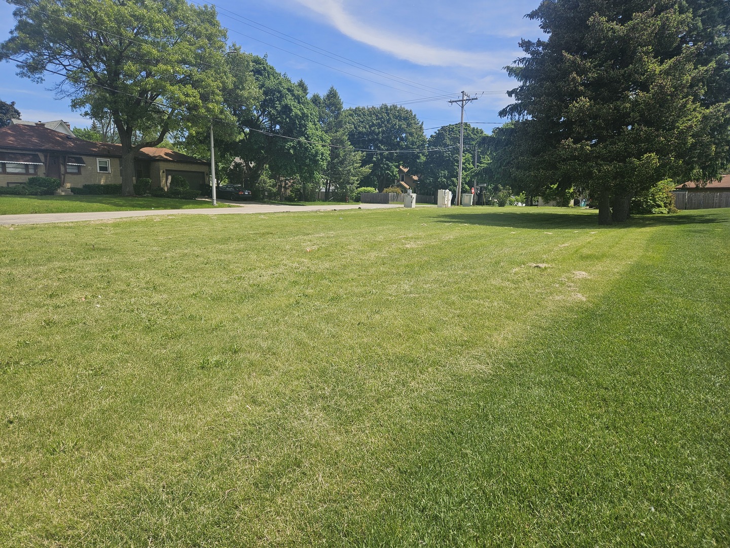 a view of a field with trees in the background