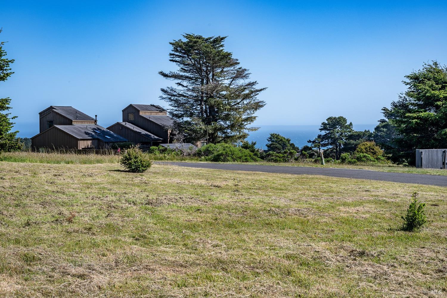 a view of a backyard of a house