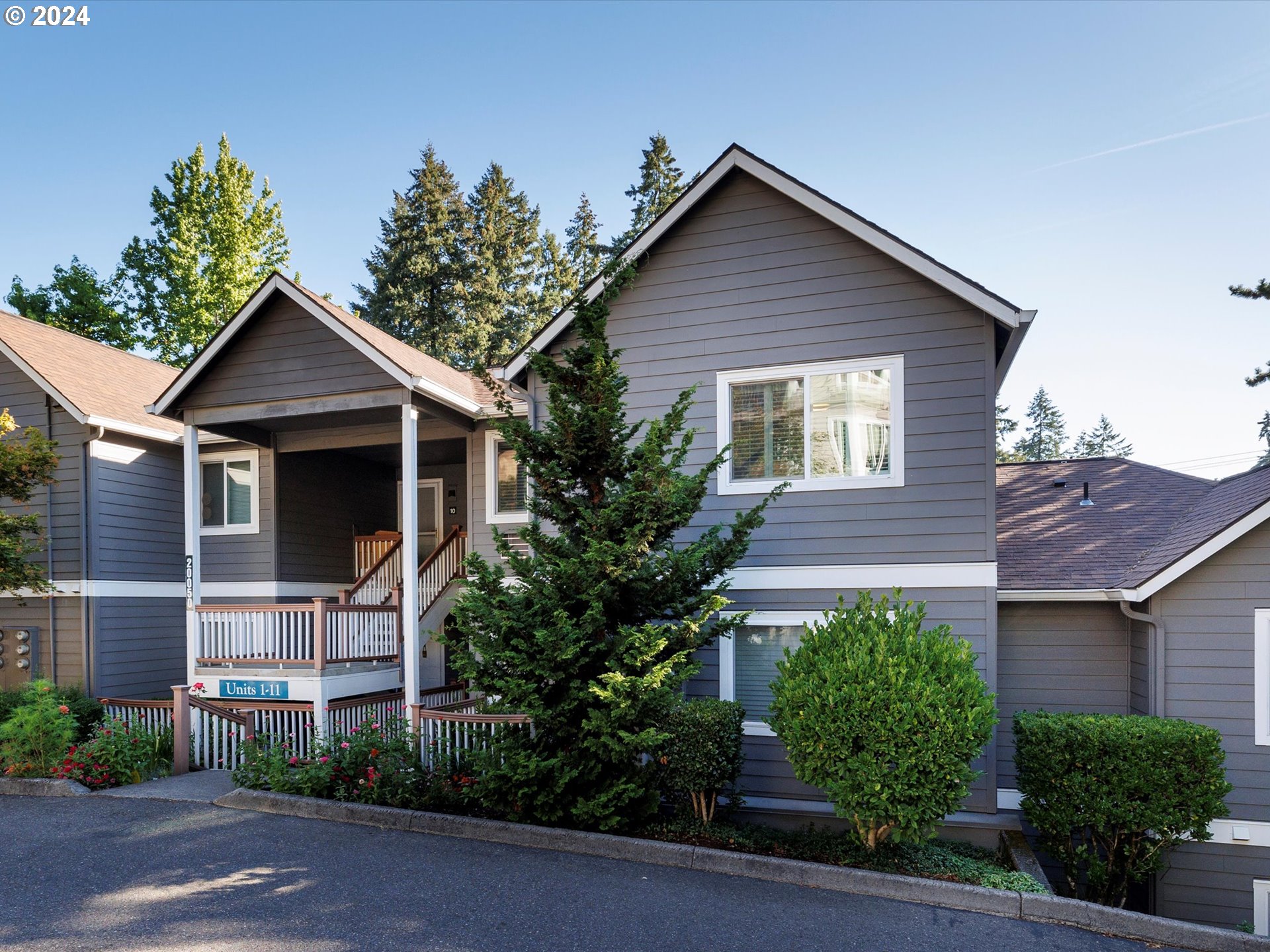 a view of a yard in front of house