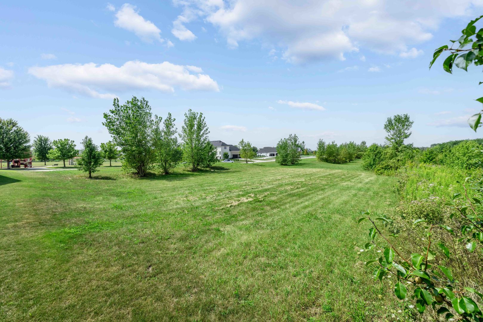 a grassy field with trees in the background