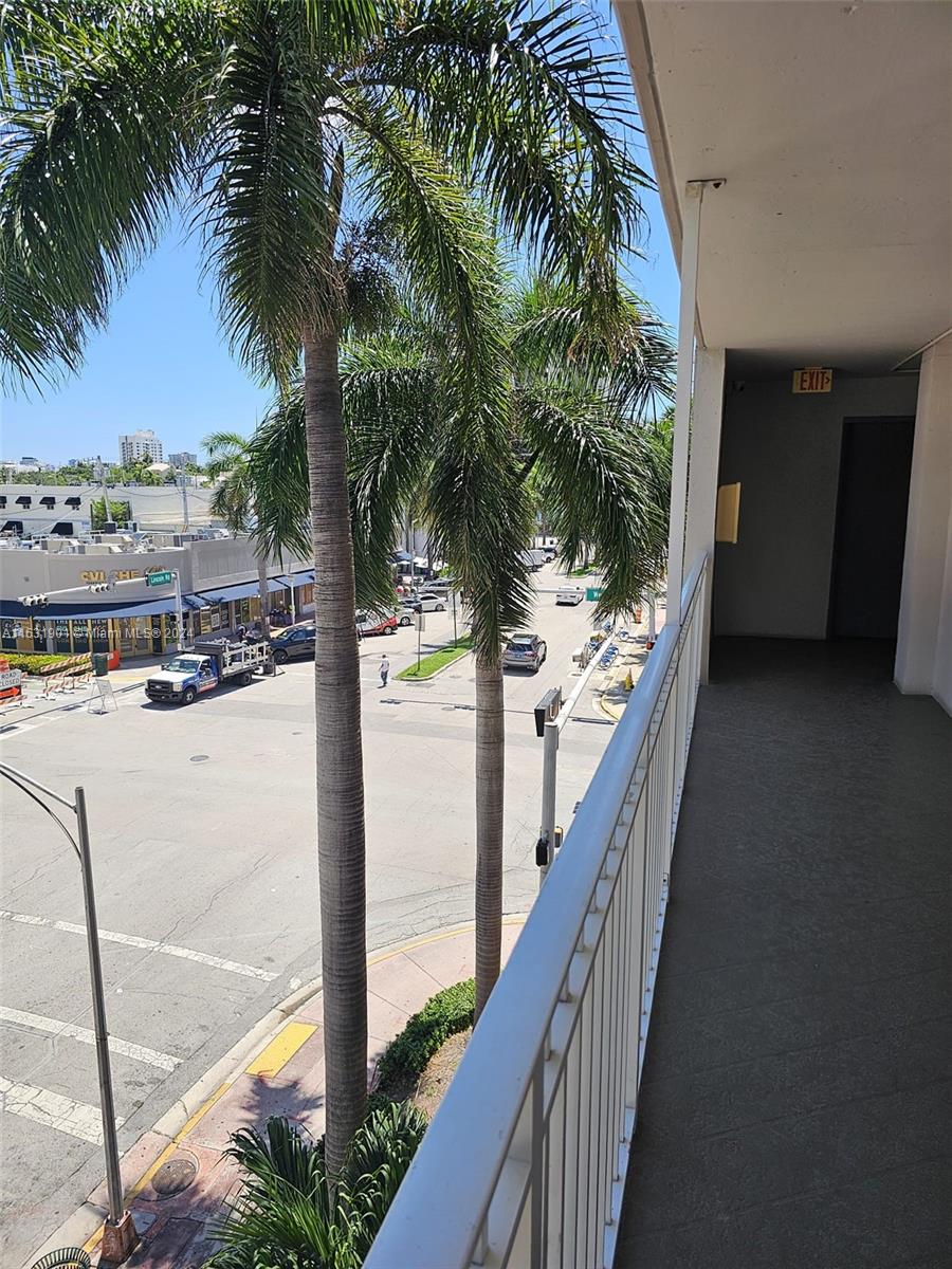 a view of balcony with a palm tree