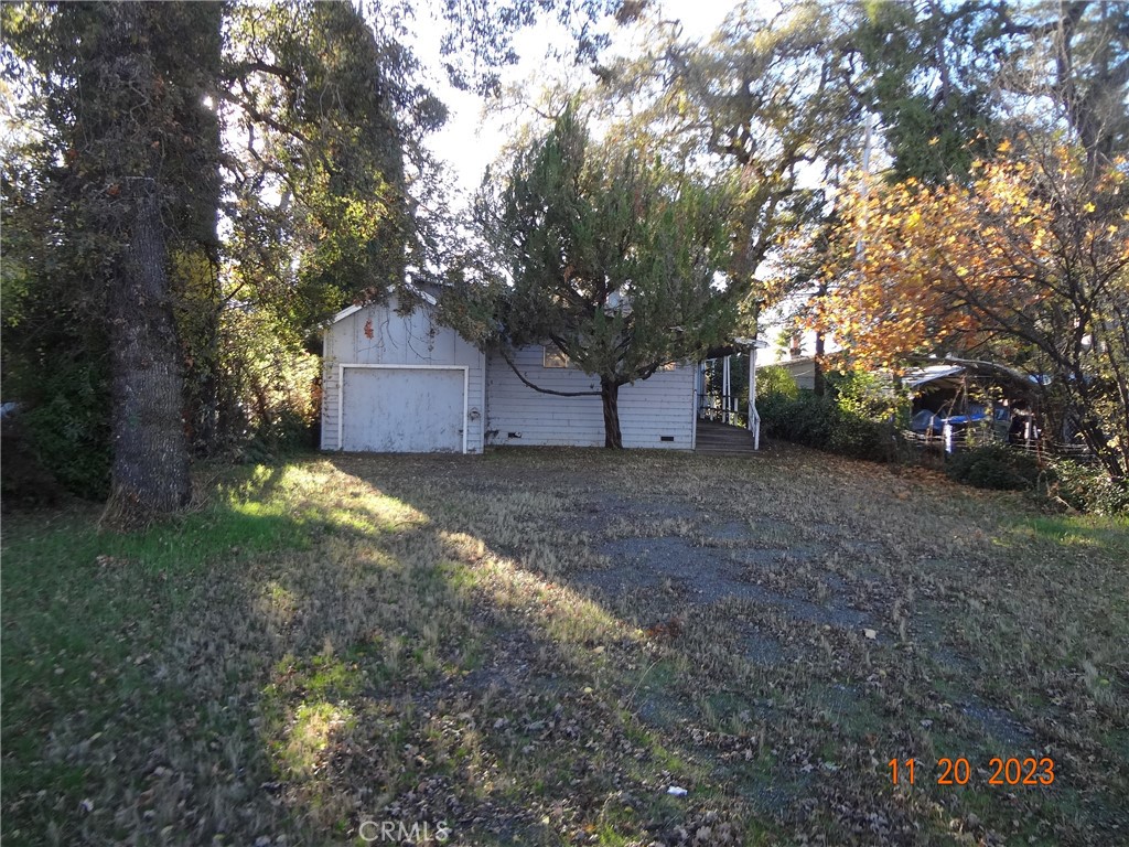 a view of a yard with large tree