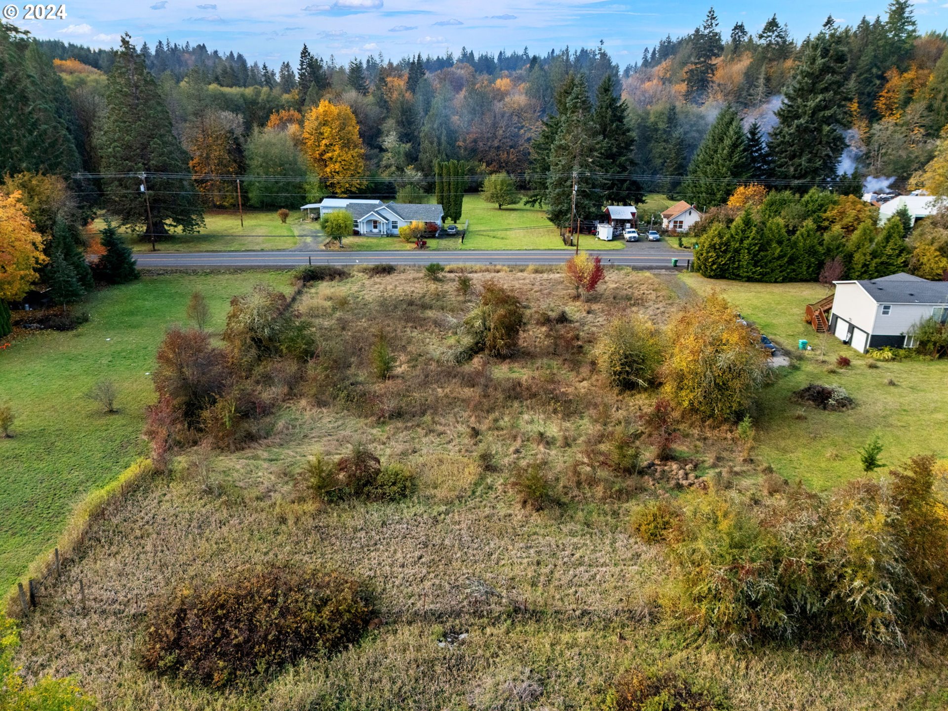 a view of a park with large trees