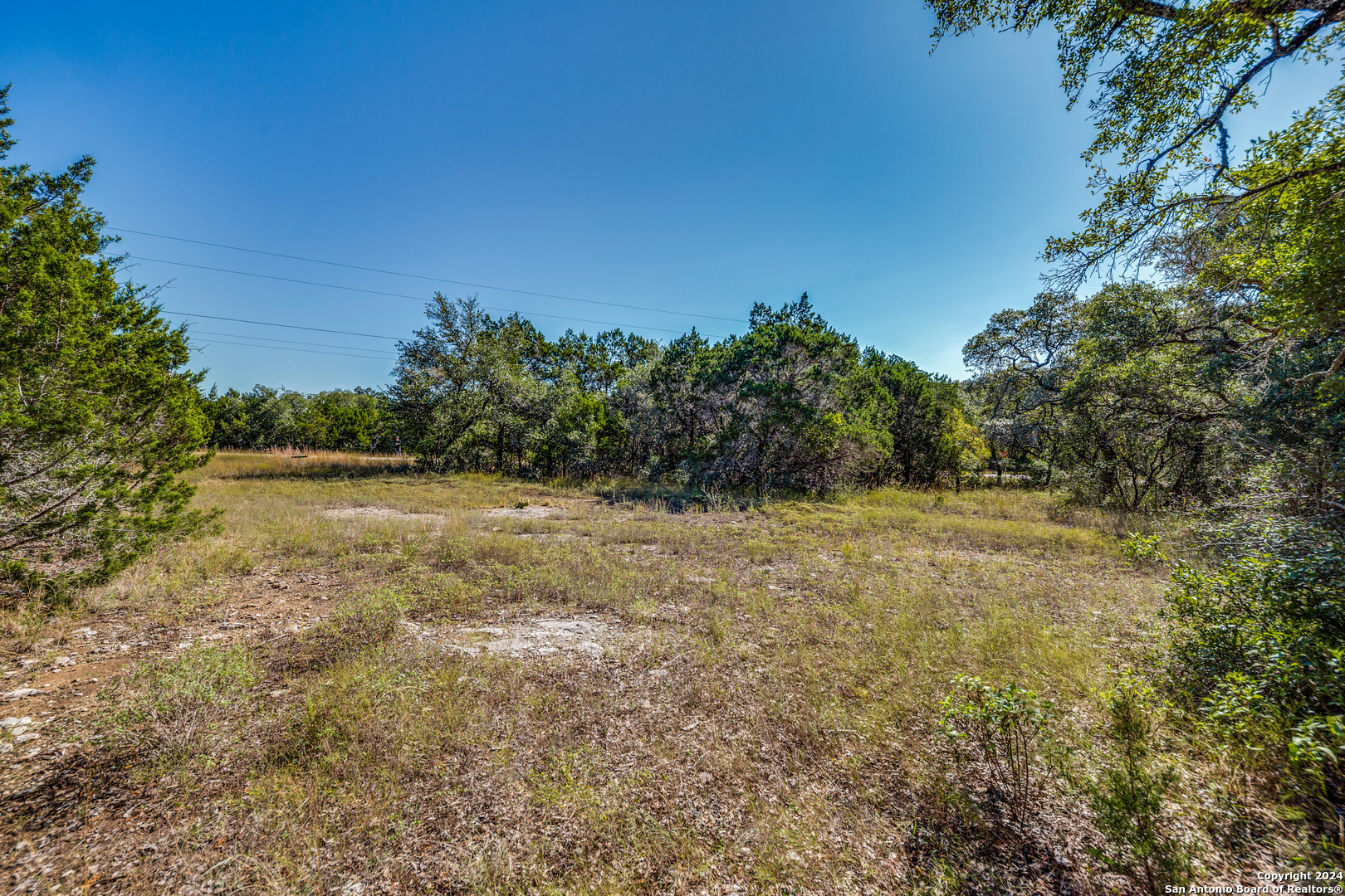 a view of a yard with a tree