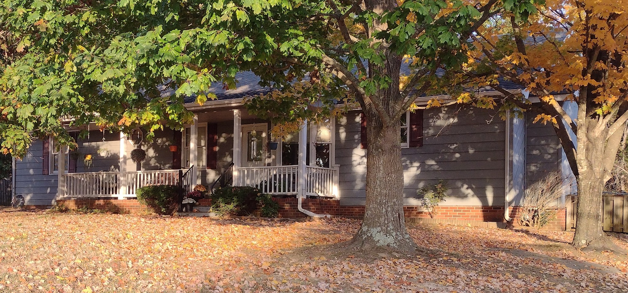 a front view of a house with a tree