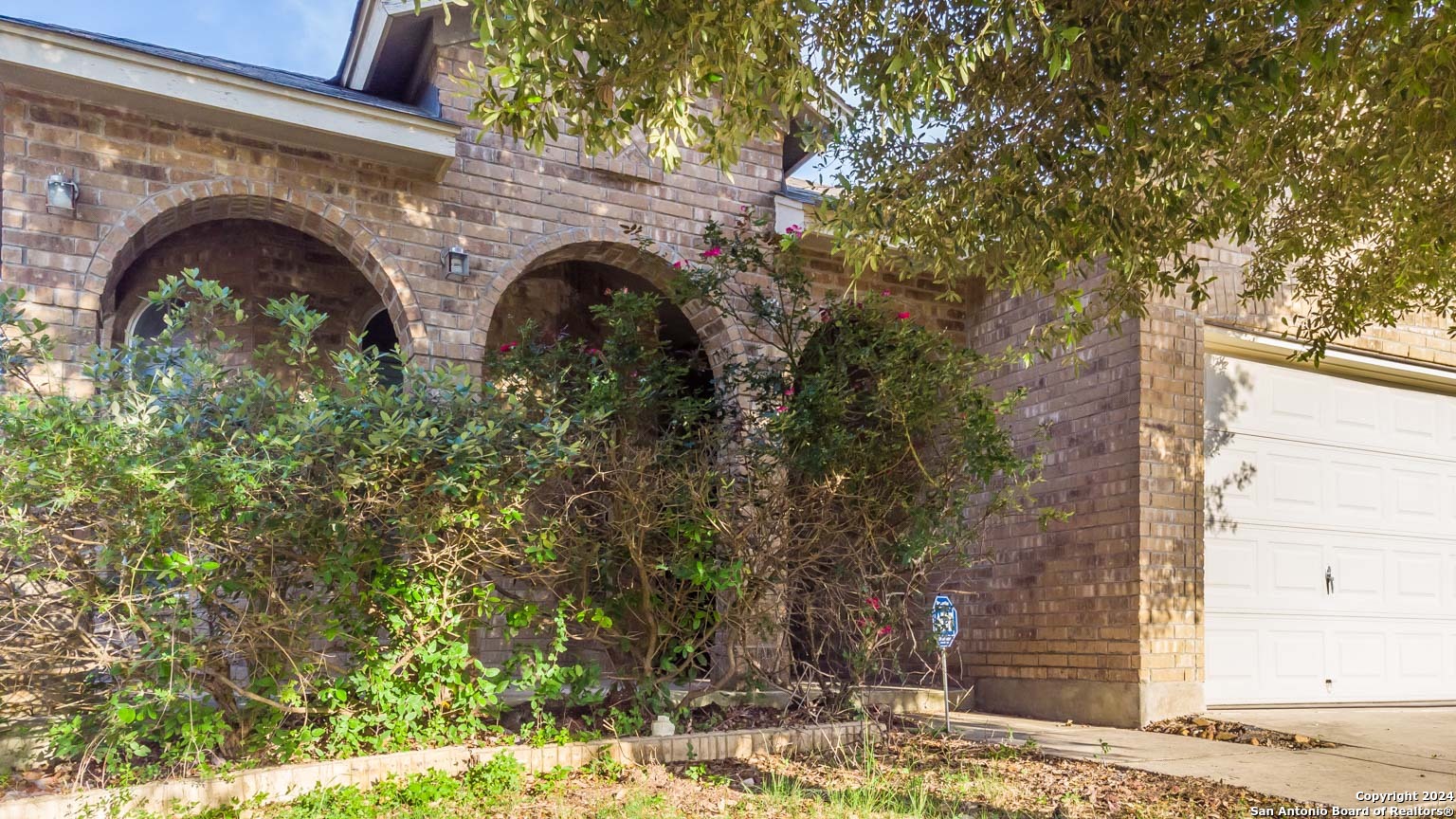 a front view of a house with plants