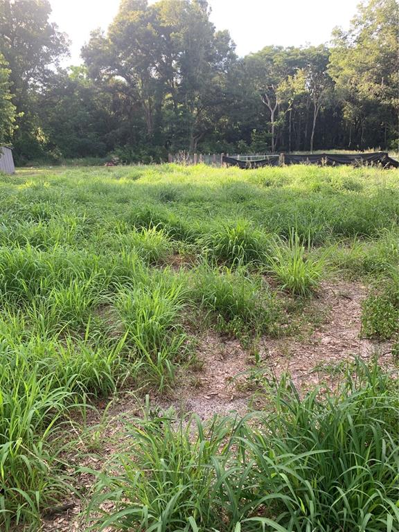 a view of backyard with green space