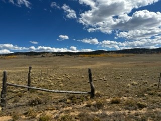 View of yard featuring a rural view