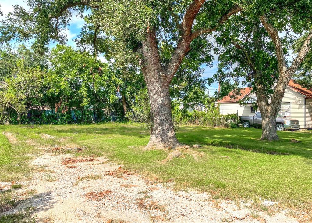 a view of a trees with a big yard