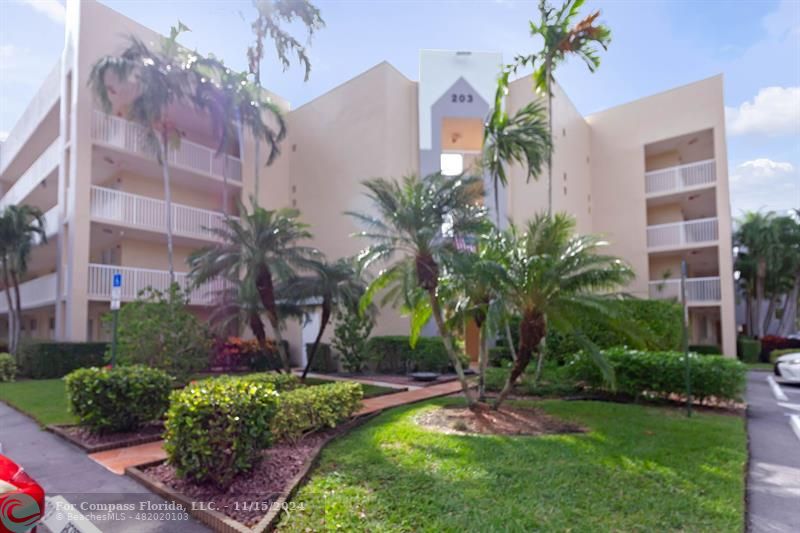 a view of a backyard with plants and palm trees