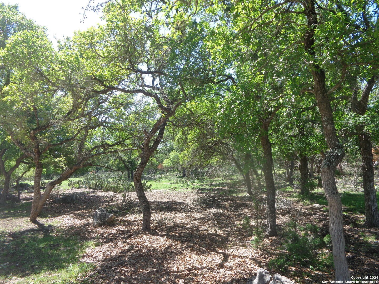 a view of outdoor space and green space