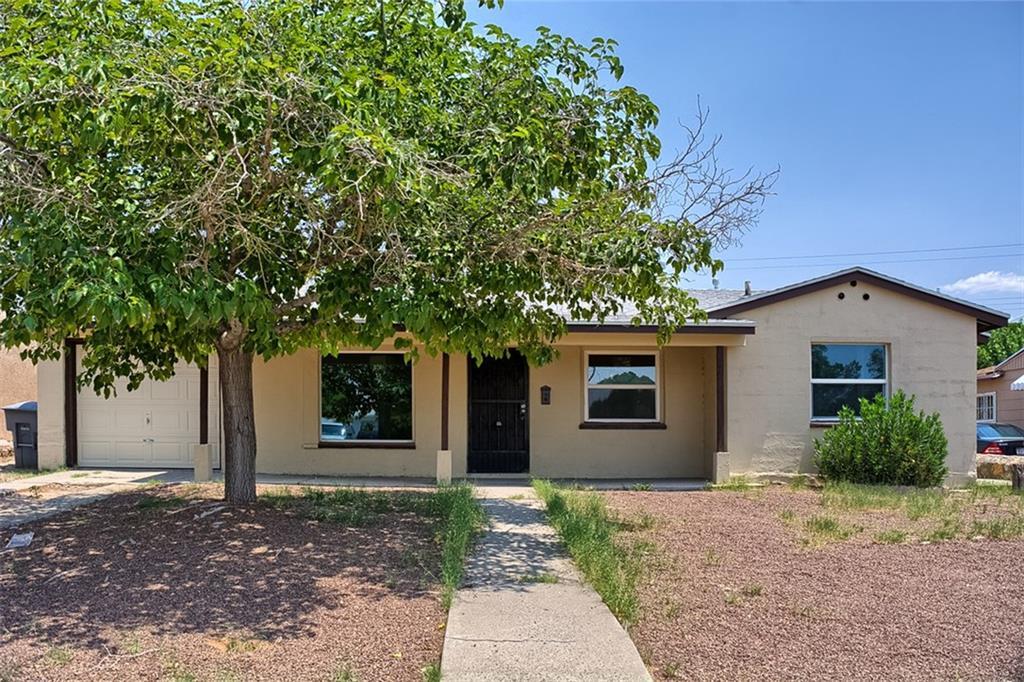 a house with a tree in front of it