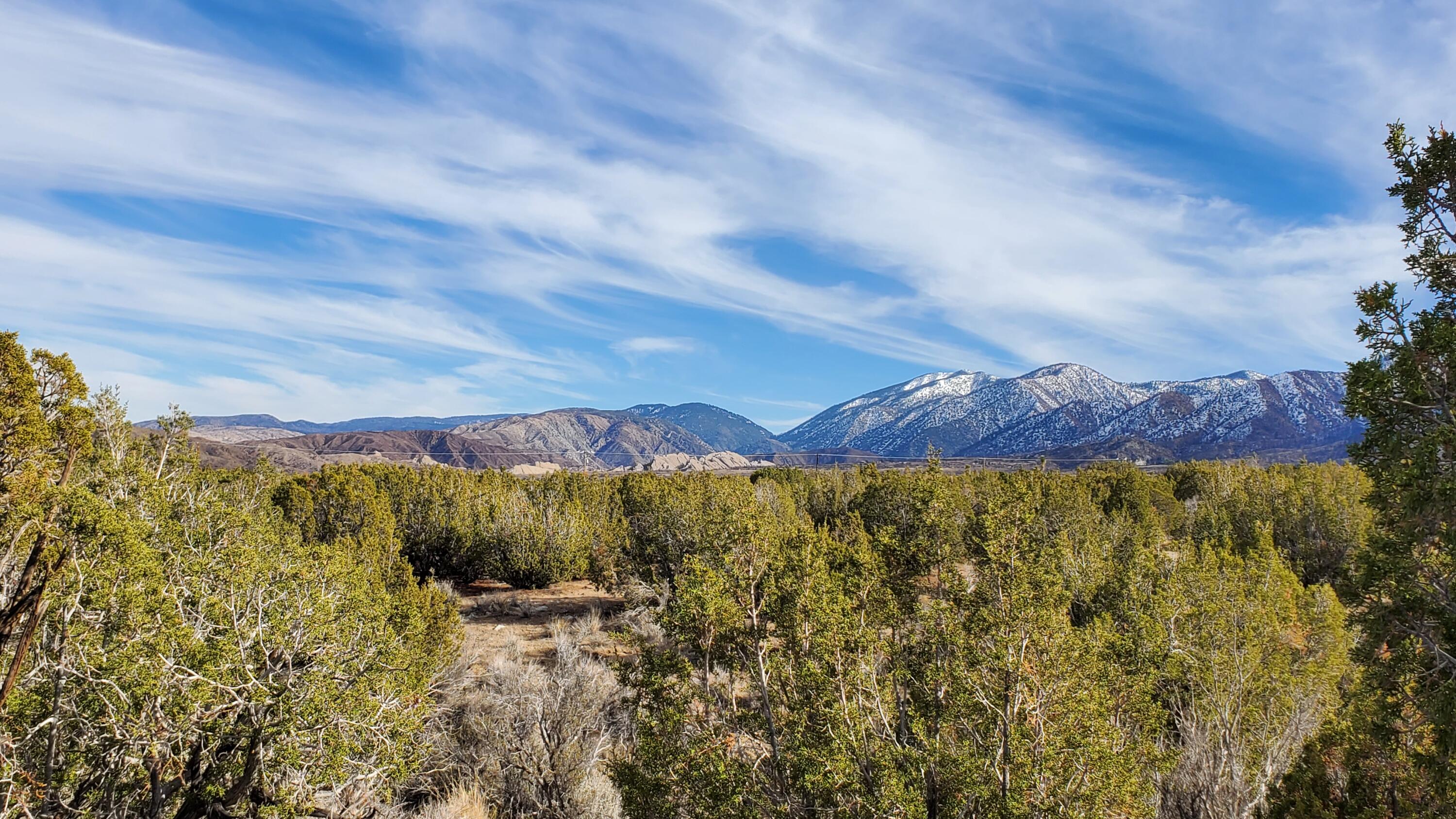 a view of a garden with mountains in the background