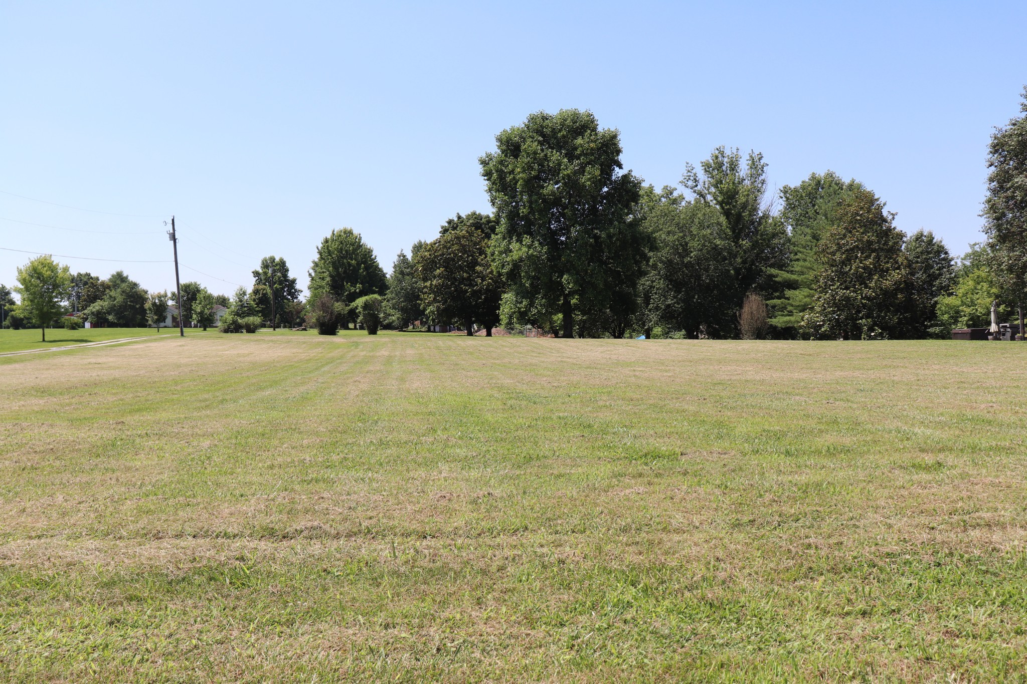 a view of yard with trees