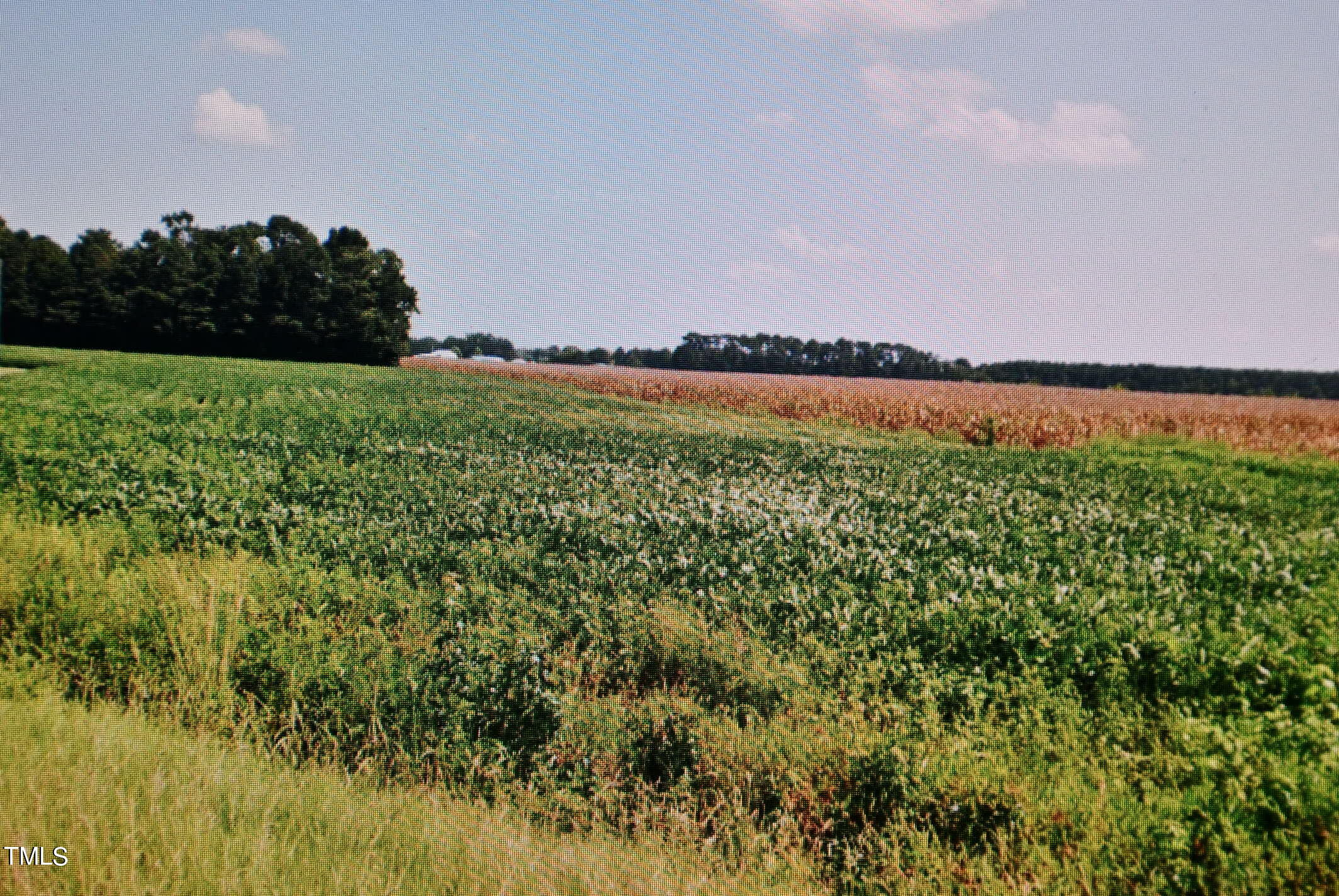 a view of a lake and green valley