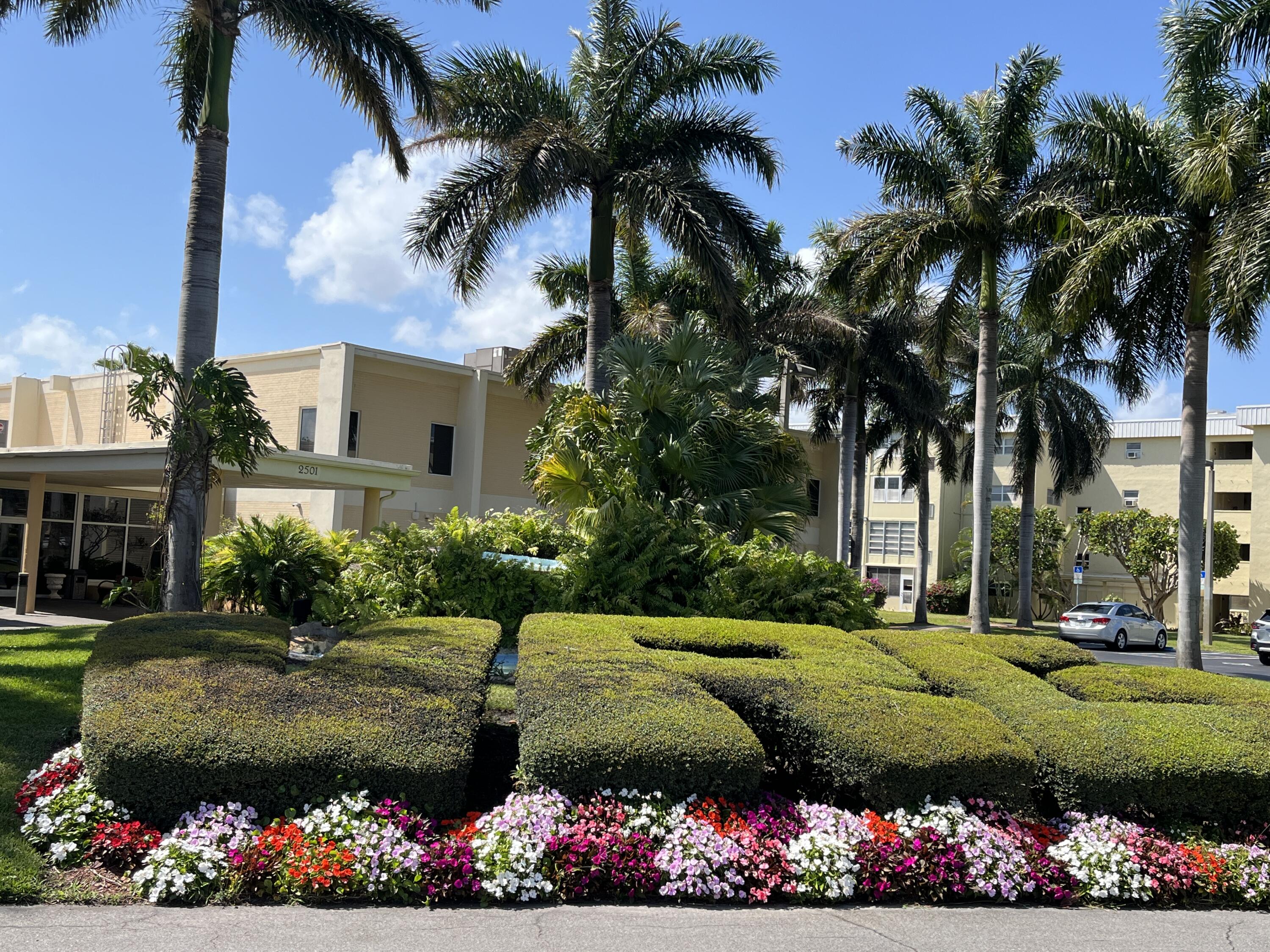 a view of a garden with flowers and palm trees