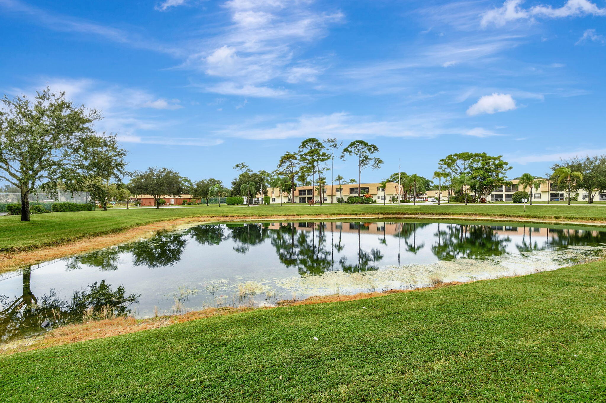 Lake view