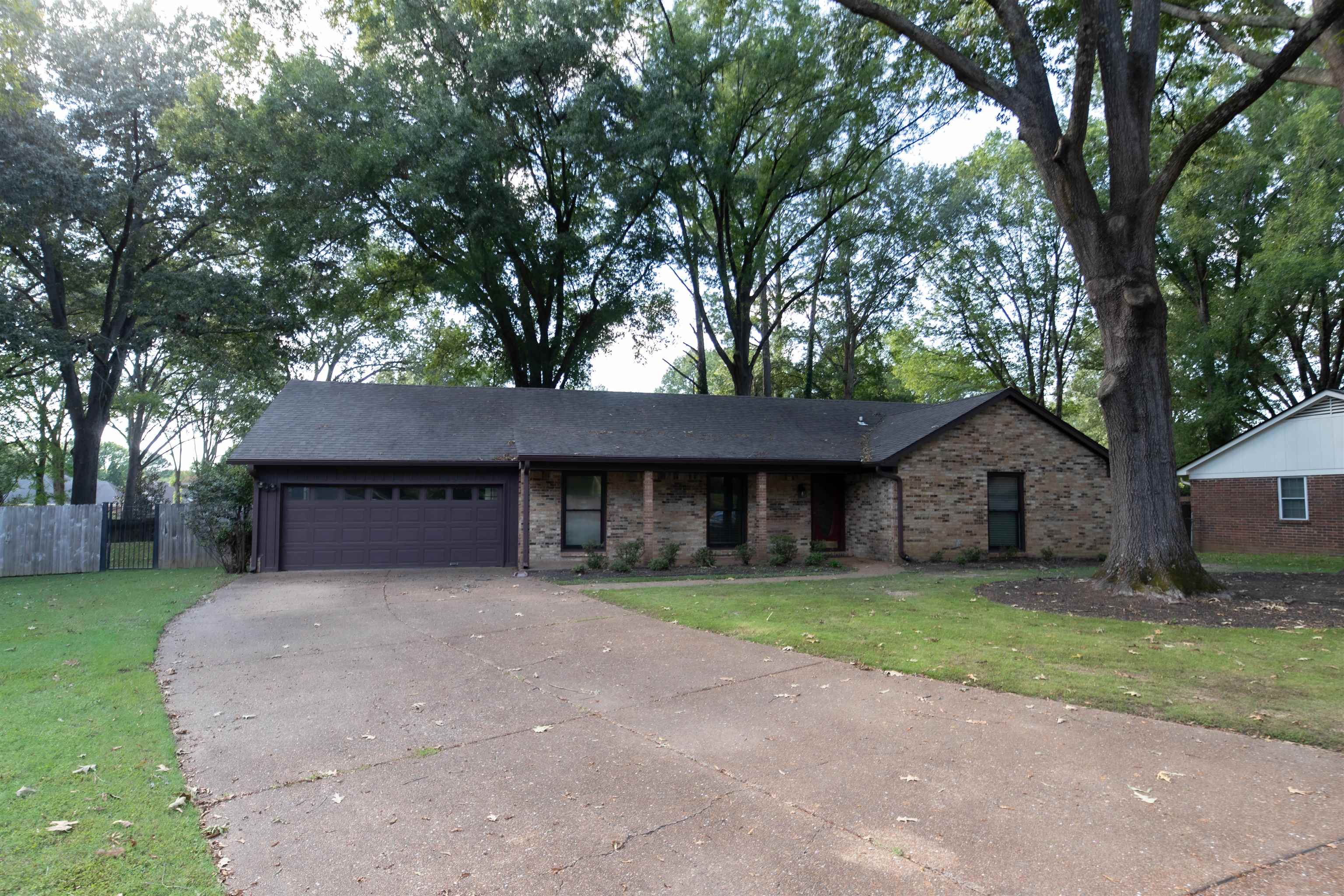 a front view of a house with yard and tree