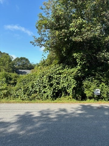 a view of a yard with a tree