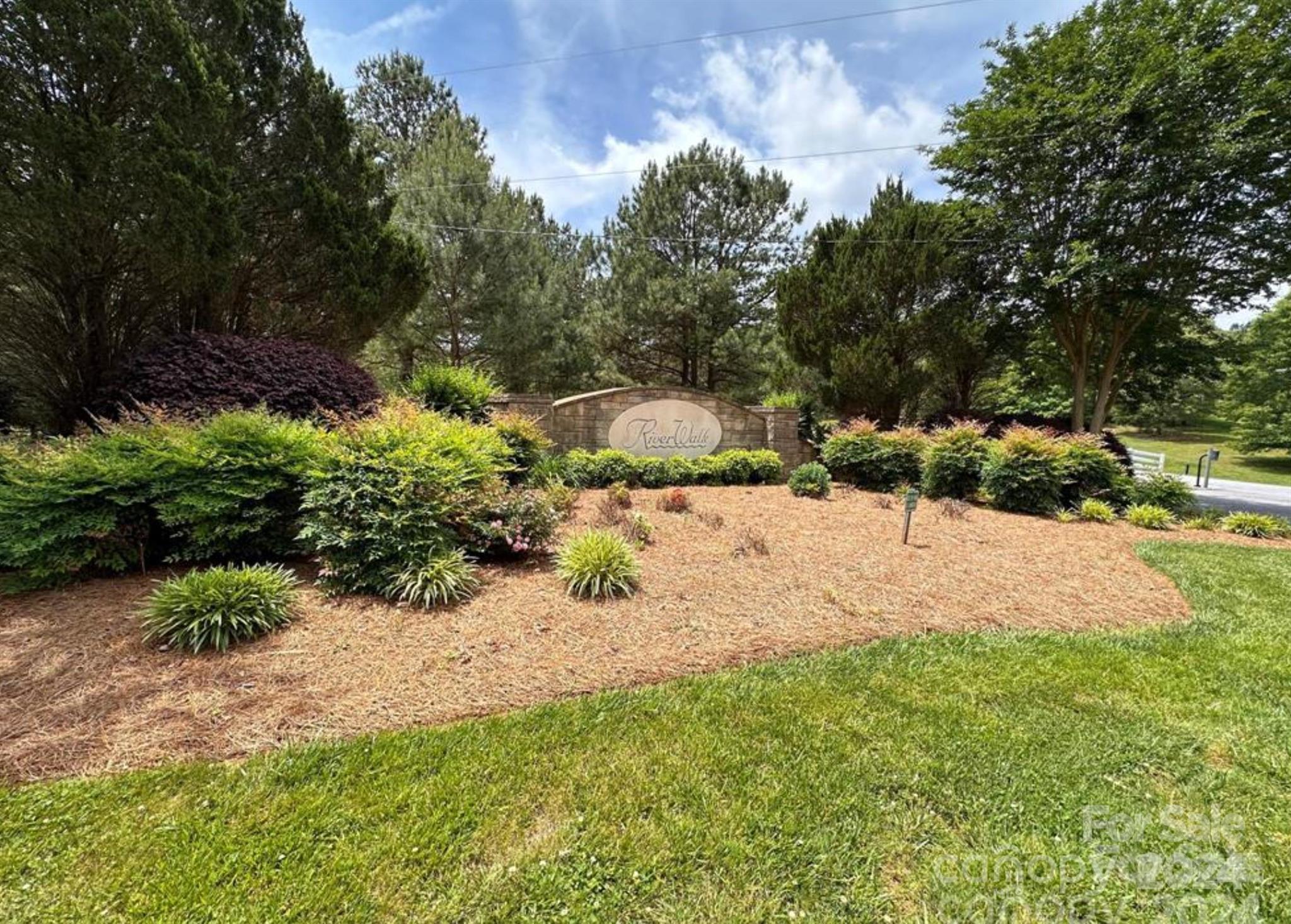 a view of a yard with plants and trees