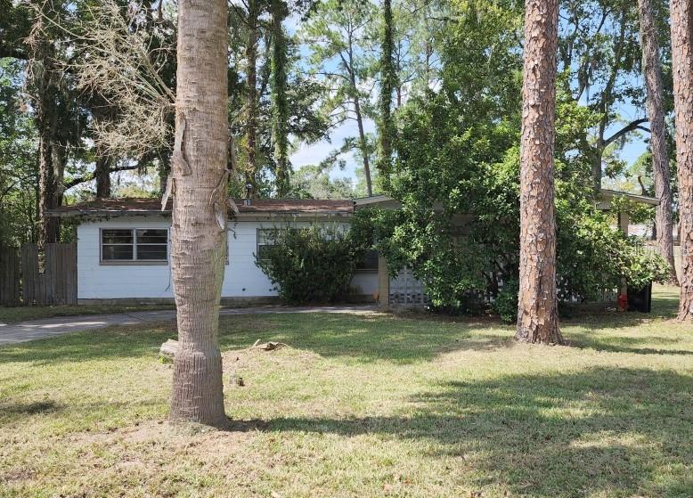 a view of a tree in the middle of a yard